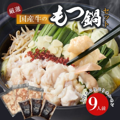 【食肉総合卸 丸正】厳選国産牛のもつ鍋セット(9人前)[153M01]