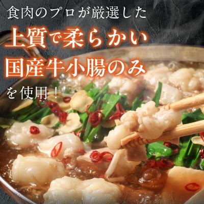 【食肉総合卸 丸正】厳選国産牛のもつ鍋セット(9人前)[153M01]