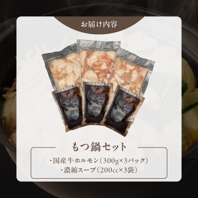 【食肉総合卸 丸正】厳選国産牛のもつ鍋セット(9人前)[153M01]