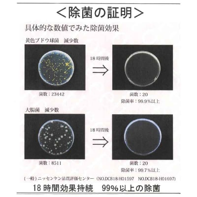 お弁当用抗菌シート　国産赤松[203Y01]