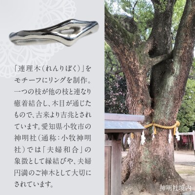 SV連理木リング〈1.8mm幅〉(10号)[016K28-05]