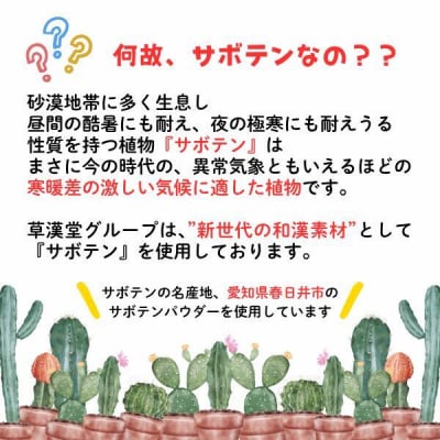 和漢サボテンのど飴　1袋　[103S12]