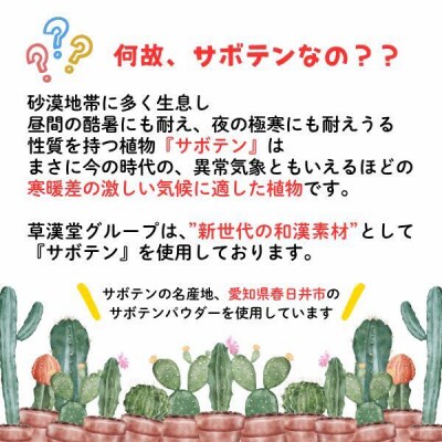 和漢サボテンのど飴　2袋　[103S13]