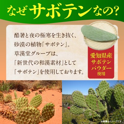 和漢サボテンのど飴　3袋　[103S14]