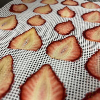 【数量限定】ドライフルーツ イチゴ 30g(15g×2袋)[175R03]