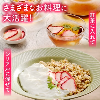 ドライフルーツ イチゴ 30g(15g×2袋) ※11月～5月に順次発送[175R03]