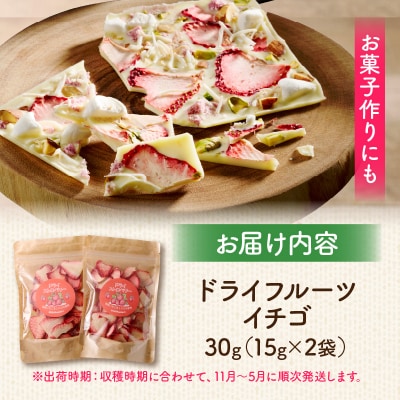 ドライフルーツ イチゴ 30g(15g×2袋) ※11月～5月に順次発送[175R03]