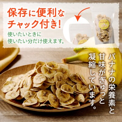 ノンオイル乾燥バナナ 100g(100g×1袋) ドライフルーツ バナナチップス[175R04]