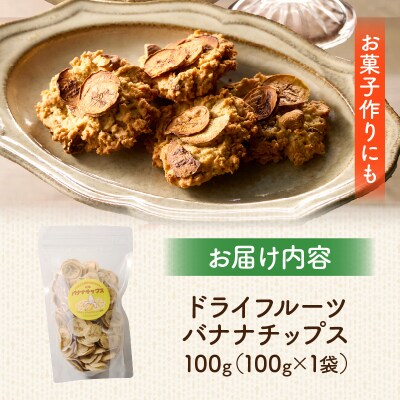ノンオイル乾燥バナナ 100g(100g×1袋) ドライフルーツ バナナチップス[175R04]