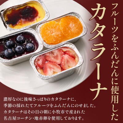 旬果の宝箱　名古屋コーチンカタラーナ　4個入[115N13]