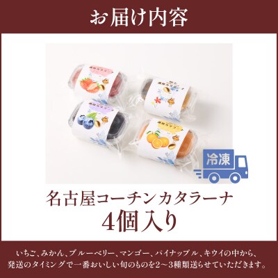 旬果の宝箱　名古屋コーチンカタラーナ　4個入[115N13]