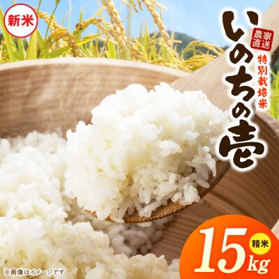 【R8年産新米 先行受付】特別栽培米「いのちの壱」(15kg)<農家直送> [208K03]