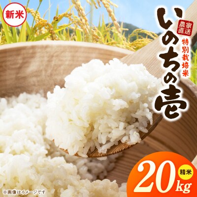 【R8年産新米 先行受付】特別栽培米「いのちの壱」(20kg)<農家直送> [208K04]