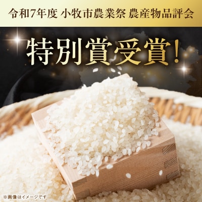 【小牧市農業祭 特別賞】【R8新米】「あいちのかおり」(5kg)<農家直送> [208K05]