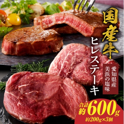 【食肉総合卸 丸正】国産牛ヒレステーキ 600g 愛知県産美浜の塩味 [153M18]