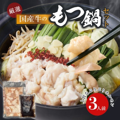 【食肉総合卸 丸正】厳選国産牛のもつ鍋セット(3人前)[153M16]