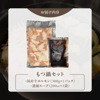 【食肉総合卸 丸正】厳選国産牛のもつ鍋セット(3人前)[153M16]