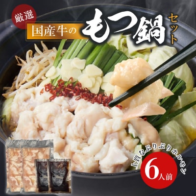 【食肉総合卸 丸正】厳選国産牛のもつ鍋セット(6人前)[153M17]