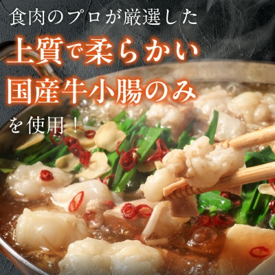 【食肉総合卸 丸正】厳選国産牛のもつ鍋セット(6人前)[153M17]