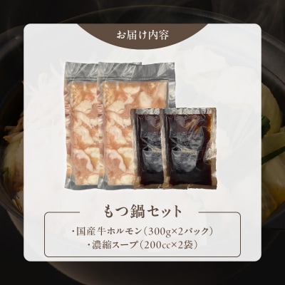 【食肉総合卸 丸正】厳選国産牛のもつ鍋セット(6人前)[153M17]