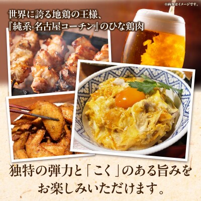 純系 名古屋コーチン ひな鶏 ぶつ切り 200g×3パック(合計600g)[006K10]