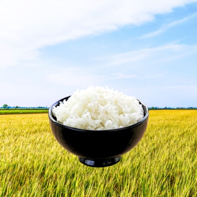 R7年産「いのちの壱」(5kg)<農家直送> [208K09]