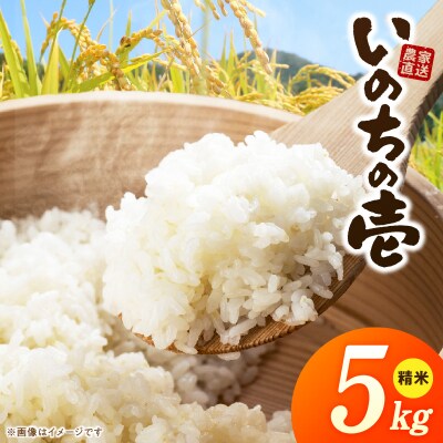 R7年産「いのちの壱」(5kg)<農家直送> [208K09]