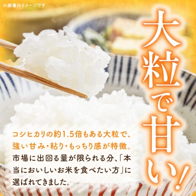 R7年産「いのちの壱」(10kg)<農家直送> [208K10]