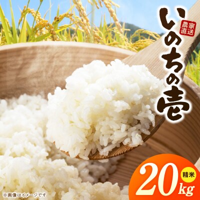 R7年産「いのちの壱」(20kg)<農家直送> [208K12]