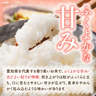 【小牧市農業祭 特別賞】R7年産「あいちのかおり」(10kg)<農家直送>[208K14]