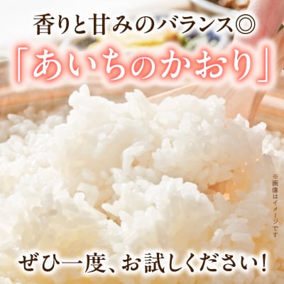 【小牧市農業祭 特別賞】R7年産「あいちのかおり」(20kg)<農家直送>[208K16]