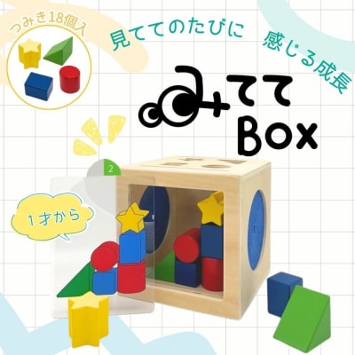 知育玩具　みててBOX[150A07]