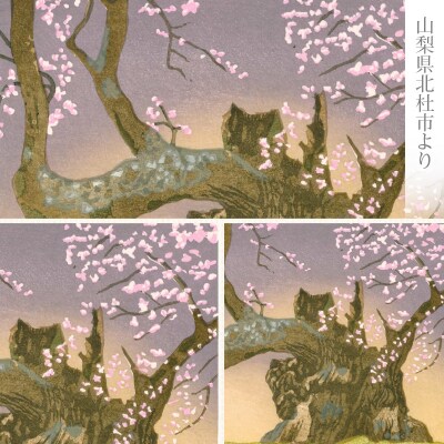 版画「神代桜」[201M08]
