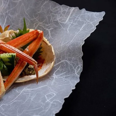 うつ和シリーズ「波・角」(UT004)(2枚入り) 食器 皿 器 日本製[111N21]