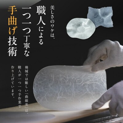 うつ和シリーズ「波・角」(UT004)(2枚入り) 食器 皿 器 日本製[111N21]
