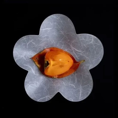 うつ和シリーズ「桜」(UT002)(2枚入り) 食器 皿 器 日本製[111N23]