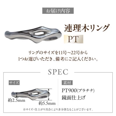 PT連理木リング〈2.5mm幅〉(11号)[016K33-01]