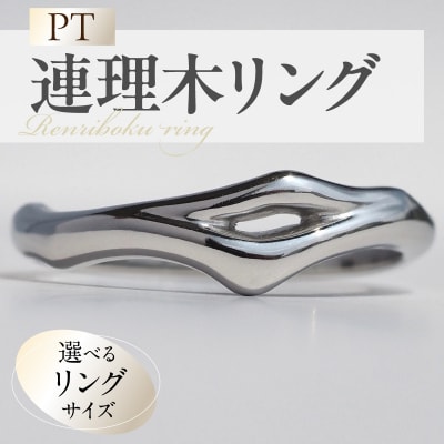 PT連理木リング〈2.5mm幅〉(12号)[016K33-02]