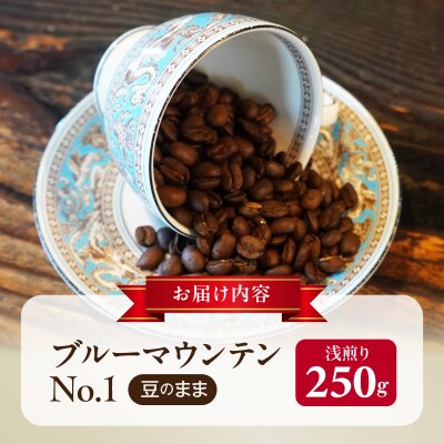 ブルーマウンテンNo.1(豆のまま)