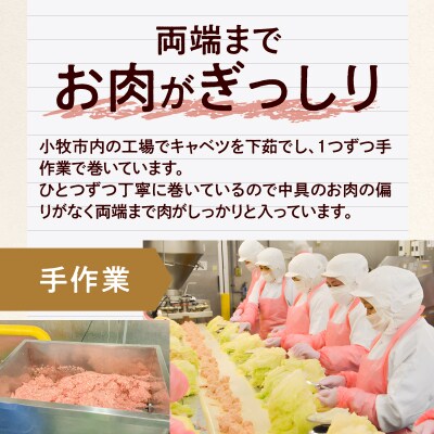 <3ヵ月定期便>国産キャベツと豚肉のロールキャベツ(8P) 常温[022J39-T]