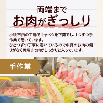 <2か月に1回　計6回　定期便>国産キャベツと豚肉のロールキャベツ(2P入り)[022J38-T]