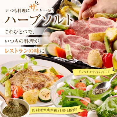 ぼだい樹　自家製ハーブソルト・ハーブティーセット[209B01]