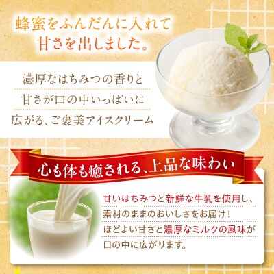 小牧市産のはちみつたっぷりミルクアイス・追いはちみつ付き 6個 [219H10]
