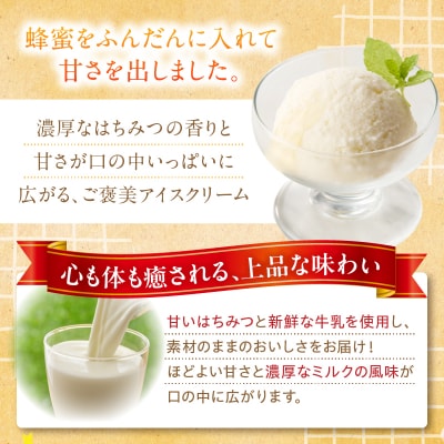 小牧市産のはちみつたっぷりミルクアイス・追いはちみつ付き 6個 [219H10]