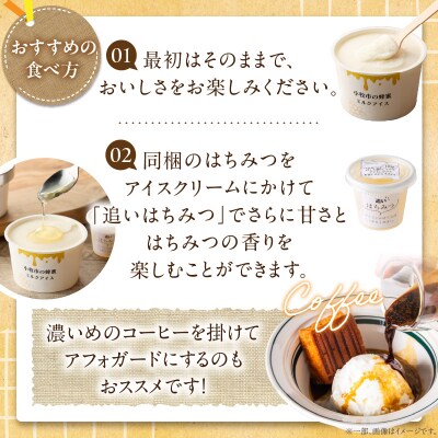 小牧市産のはちみつたっぷりミルクアイス・追いはちみつ付き 6個 [219H10]