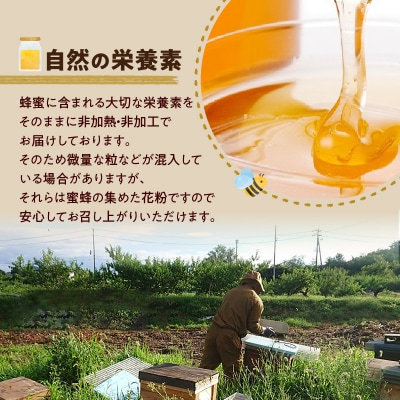 <国産非加熱>桃のはちみつ 200g【愛知県小牧市】[219H14]