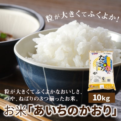 お米「あいちのかおり」10kg【011O01】
