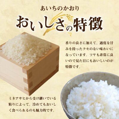 お米「あいちのかおり」10kg【011O01】
