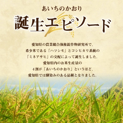 お米「あいちのかおり」10kg【011O01】