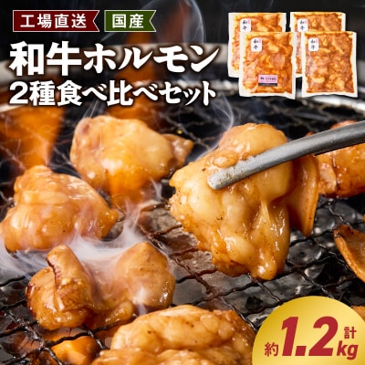 <工場直送>和牛ホルモン2種食べ比べセット [210Y14]
